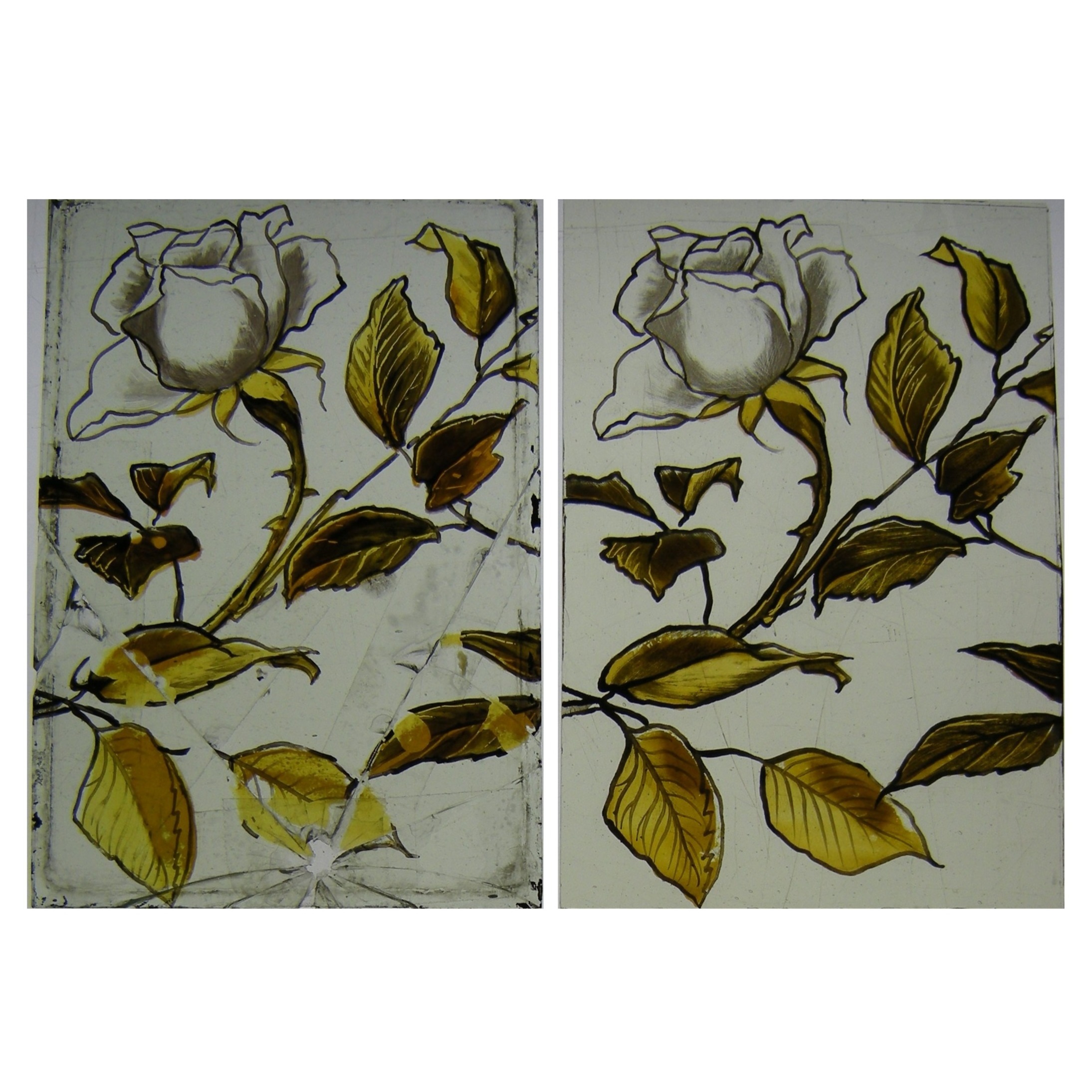 Rose — stained glass by Eleanor Carr