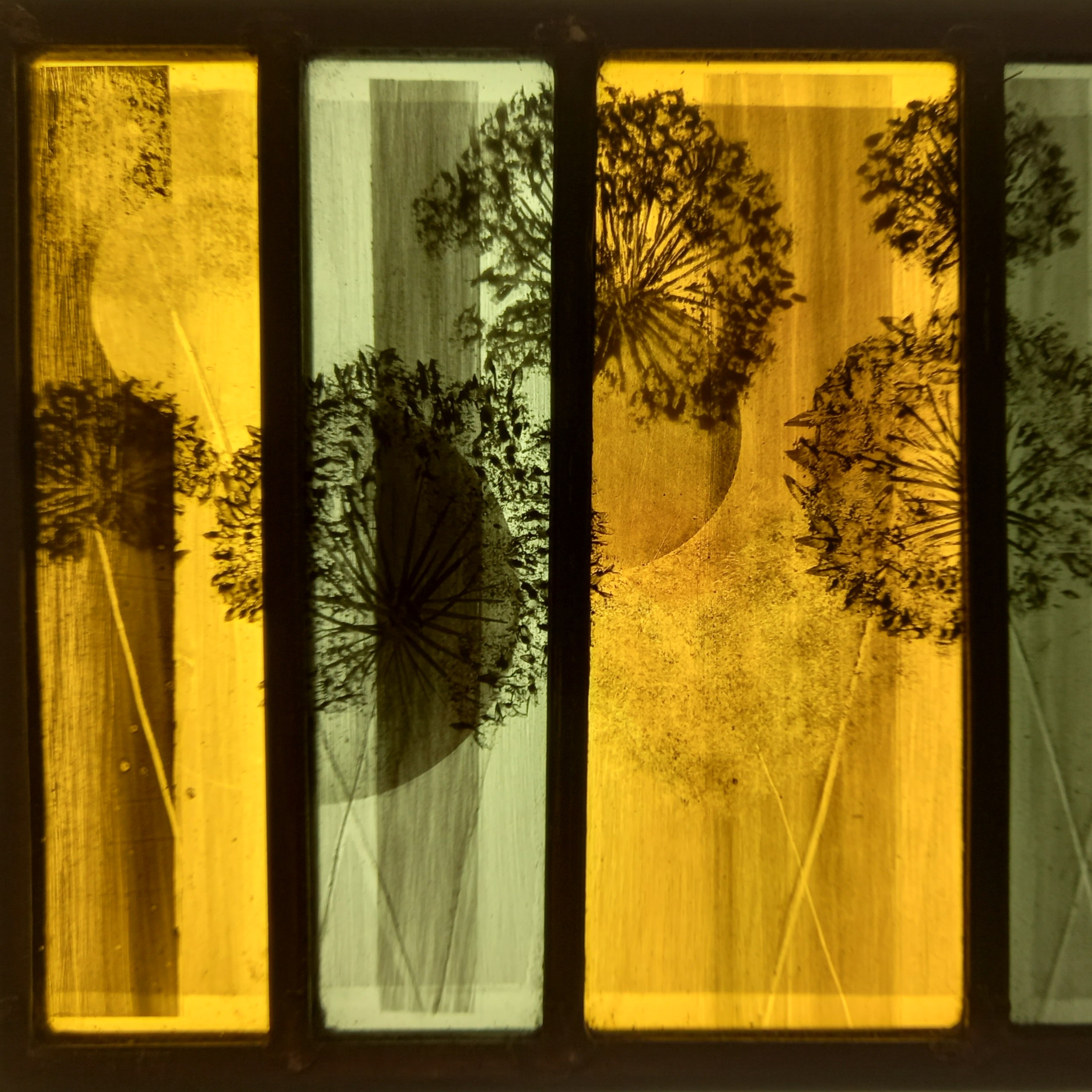 Seedheads — stained glass by Eleanor Carr